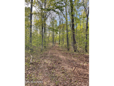 Lake Acreage For Sale in Ten Mile, Tennessee
