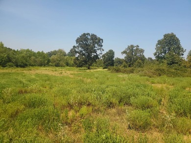 397 ACRE CATTLE RANCH IN ANTLERS OKLAHOMA FOR SALE!! Embrace - photo 33