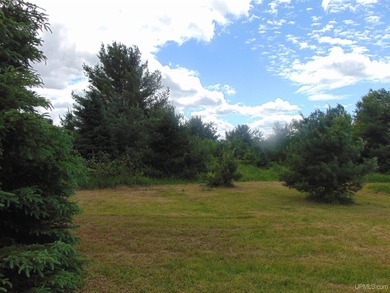 80 Acres of Upper Peninsula Paradise Bordering Ottawa National - photo 33