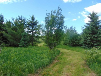 80 Acres of Upper Peninsula Paradise Bordering Ottawa National - photo 34