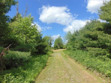 80 Acres of Upper Peninsula Paradise Bordering Ottawa National - photo 36