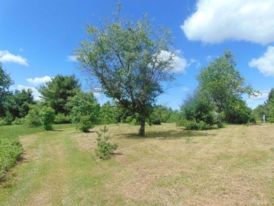 80 Acres of Upper Peninsula Paradise Bordering Ottawa National - photo 37