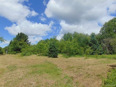 80 Acres of Upper Peninsula Paradise Bordering Ottawa National - photo 38