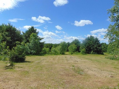80 Acres of Upper Peninsula Paradise Bordering Ottawa National - photo 39