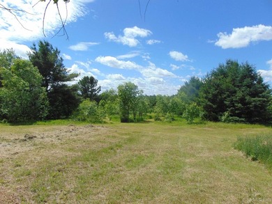 80 Acres of Upper Peninsula Paradise Bordering Ottawa National - photo 42