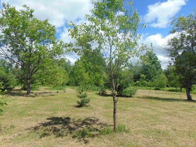 80 Acres of Upper Peninsula Paradise Bordering Ottawa National - photo 43