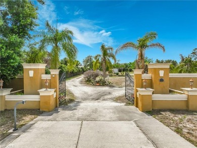 OVER 5 ACRES, RIGHT IN THE HEART OF ORLANDO, WITH MULTIPLE - photo 4