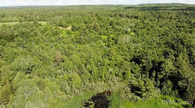 80 Acres of Upper Peninsula Paradise Bordering Ottawa National - photo 44