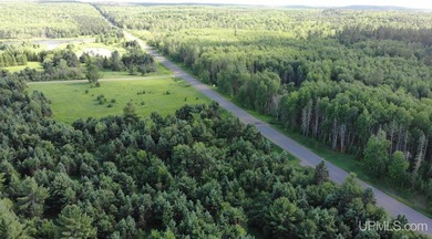 80 Acres of Upper Peninsula Paradise Bordering Ottawa National - photo 45