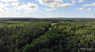 80 Acres of Upper Peninsula Paradise Bordering Ottawa National - photo 46