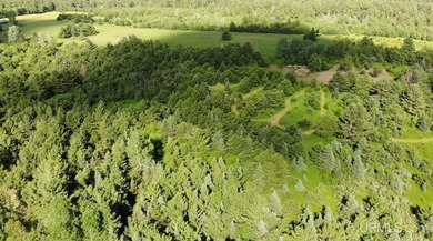 80 Acres of Upper Peninsula Paradise Bordering Ottawa National - photo 47
