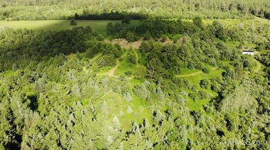 80 Acres of Upper Peninsula Paradise Bordering Ottawa National - photo 48