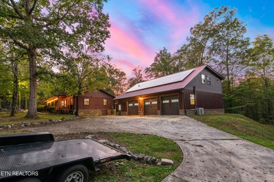 **Fiber Optic Now Available!** Beautifully renovated true log - photo 3
