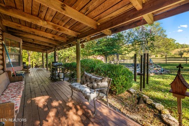 **Fiber Optic Now Available!** Beautifully renovated true log - photo 6