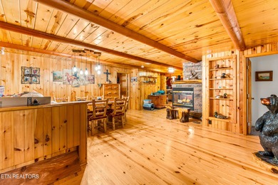 **Fiber Optic Now Available!** Beautifully renovated true log - photo 7
