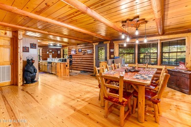 **Fiber Optic Now Available!** Beautifully renovated true log - photo 10