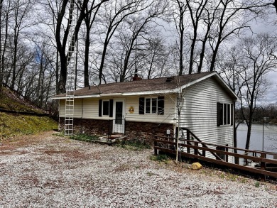 Lake Home For Sale in Fountain, Michigan
