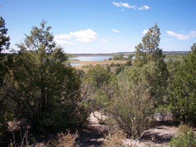(private lake, pond, creek) Lot For Sale in Mancos Colorado