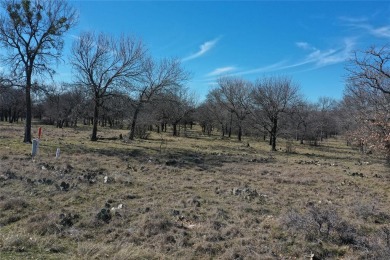 Lake Lot For Sale in Chico, Texas