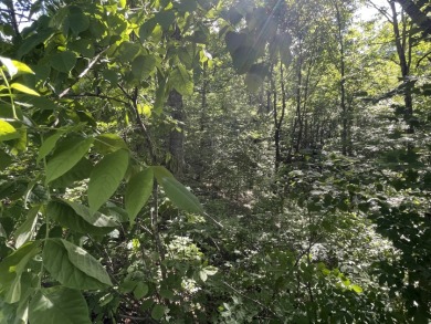1 Acre Lake Cumberland Building Lot - photo 4