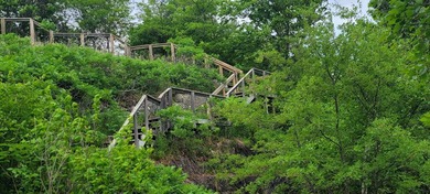 Rainy Lake island with a 20 mile view! 9.5 acres of commercially - photo 15