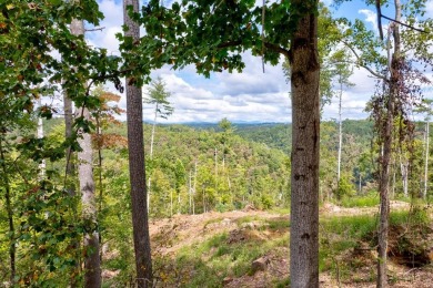 Lake Lot For Sale in Ellijay, Georgia