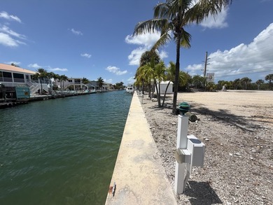 Rare opportunity in the heart of Summerland Key, two contiguous - photo 7