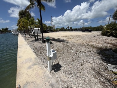 Rare opportunity in the heart of Summerland Key, two contiguous - photo 8