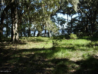 St. Johns River - Clay County Acreage Sale Pending in Green Cove Springs Florida