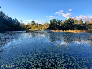 (private lake, pond, creek) Acreage For Sale in Helenwood Tennessee