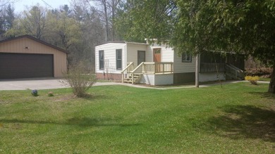 Lake Home For Sale in Luther, Michigan