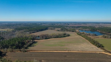 (private lake, pond, creek) Acreage For Sale in Wray Georgia