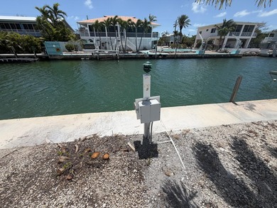 Rare opportunity in the heart of Summerland Key, two contiguous - photo 6