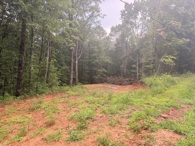 Coosawattee River - Gilmer County Lot For Sale in Ellijay Georgia
