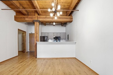 Located on a quiet street in the heart of the North Loop, you - photo 11