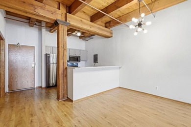Located on a quiet street in the heart of the North Loop, you - photo 12