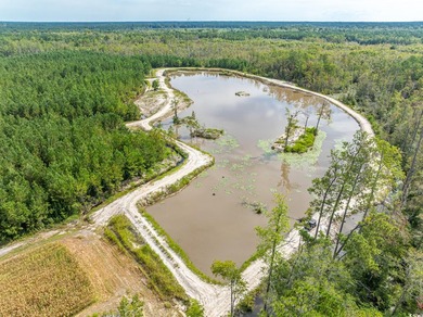 Three parcels 429+/- acres zoned general use, high land that the - photo 16