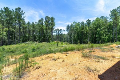 SHOWINGS START MONDAY JUNE 8TH** Rare opportunity in Ellisville - photo 17