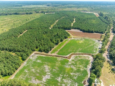 Three parcels 429+/- acres zoned general use, high land that the - photo 18