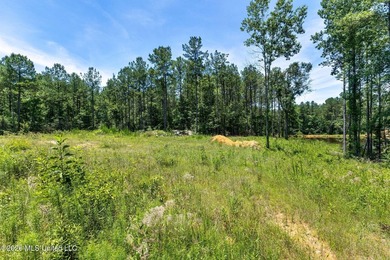 SHOWINGS START MONDAY JUNE 8TH** Rare opportunity in Ellisville - photo 18