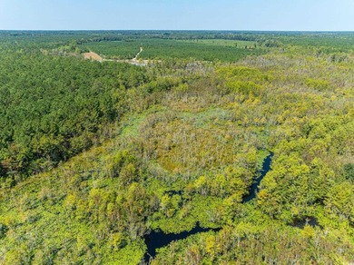 Three parcels 429+/- acres zoned general use, high land that the - photo 19