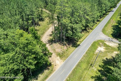 SHOWINGS START MONDAY JUNE 8TH** Rare opportunity in Ellisville - photo 23