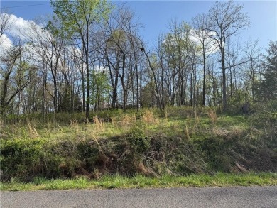 Lake Lot For Sale in Bella Vista, Arkansas
