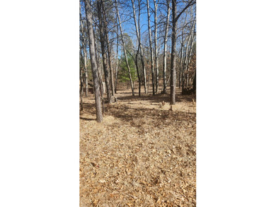 Lovely level lot just waiting for your new home in Lake - photo 1