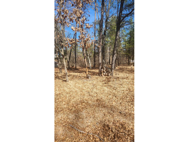 Lovely level lot just waiting for your new home in Lake - photo 2