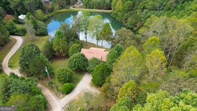 Lake Home For Sale in Blue Ridge, Georgia