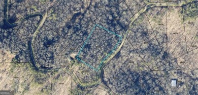 Lake Acreage For Sale in Ranger, Georgia