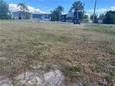 Excellent York Rd vacant lot locationposite dock and 12,000lb - photo 3