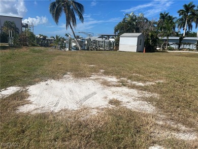 Excellent York Rd vacant lot locationposite dock and 12,000lb - photo 6