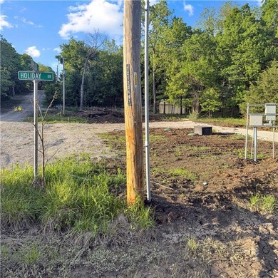FUN AWAITS YOU at LINN VALLEY LAKES! Snag this amazing corner - photo 8